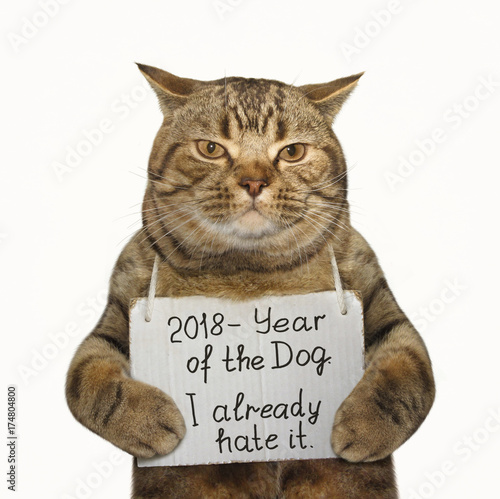 The cat is holding a funny banner . White background.
