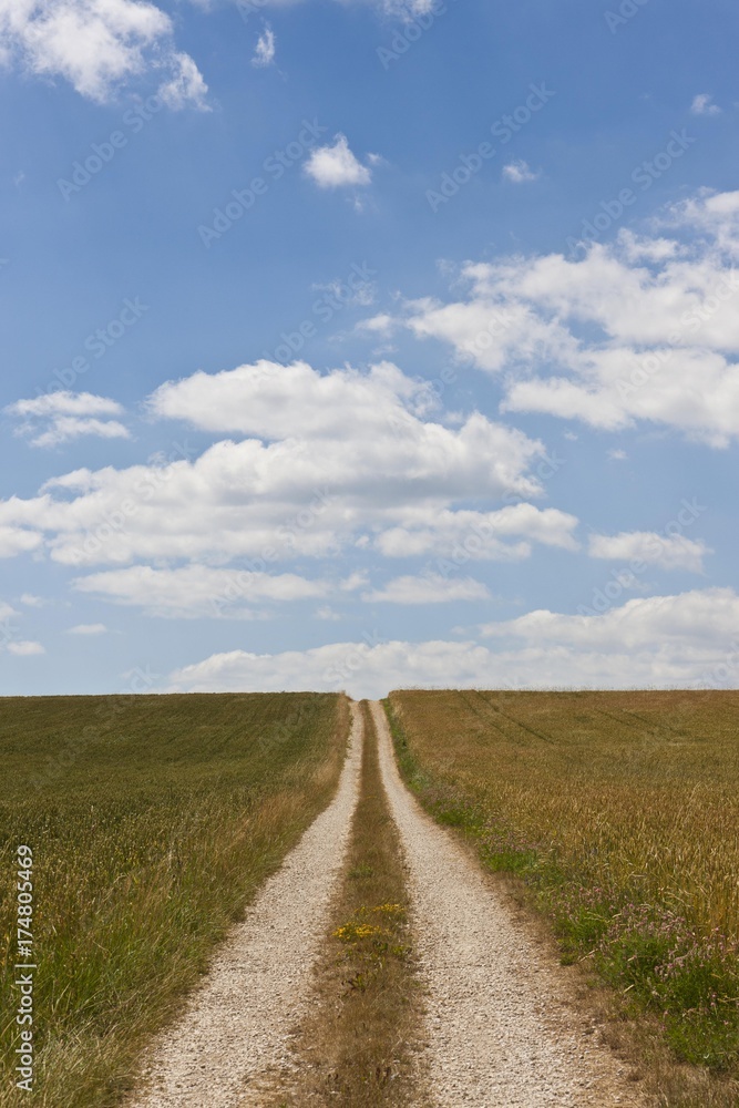 Straight dirt road through fields