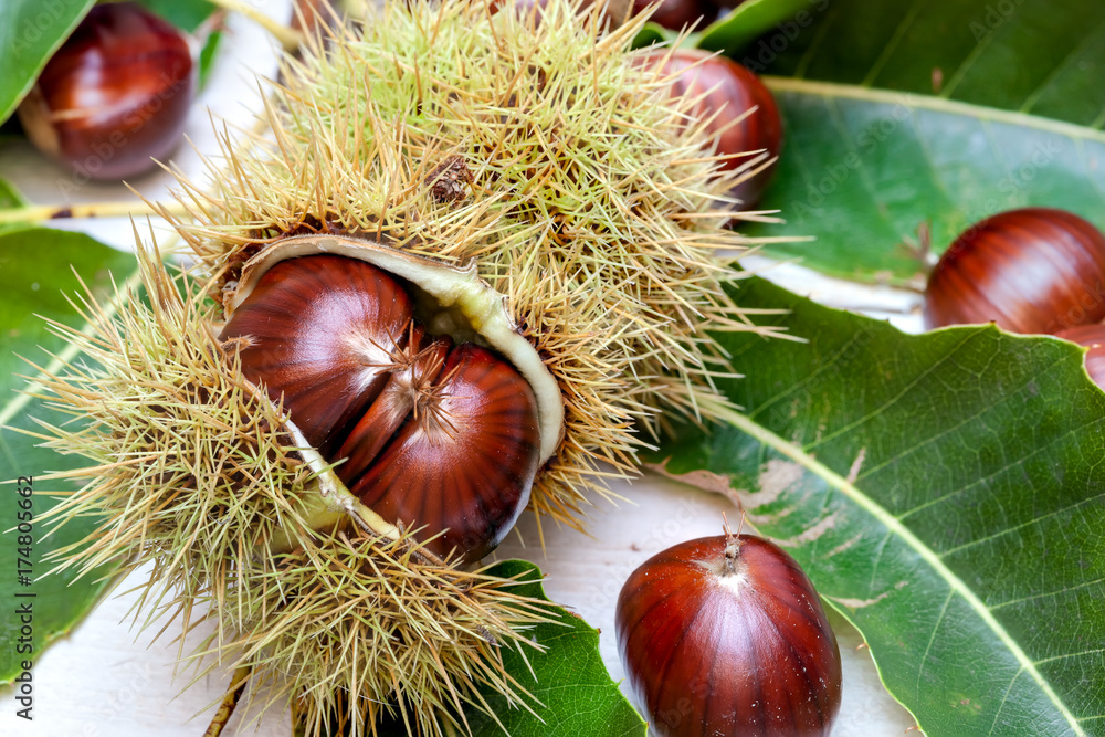 an lot off chestnuts an lot off chestnuts