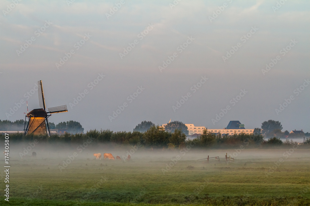 Fototapeta premium Kinderdijk in holland