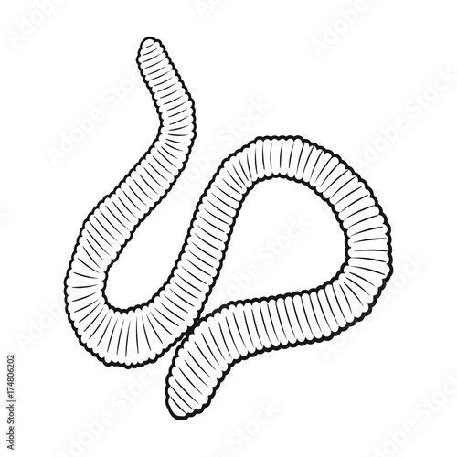 A worm, a boneless animal. Earthworm single icon in outline style vector symbol stock isometric illustration web.
