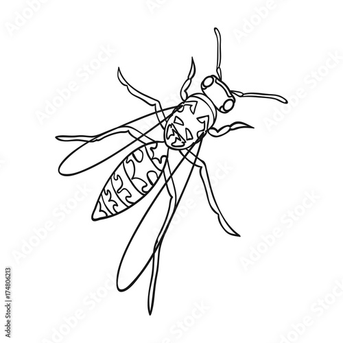 Wasp, hymenopteran insect.Wasp, stinging insect single icon in outline style vector symbol stock isometric illustration web.