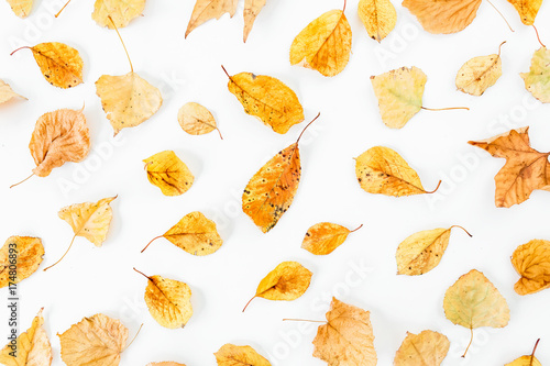Autumn pattern of autumn leaves on white background. Flat lay, top view
