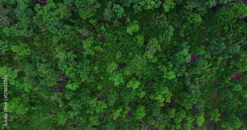 Wallpaper Mural Phu Praw temple is on the hill beside Sirindhorn dam. highlight of Phu Prao temple start after the sun go down the darkness make painting on the wall and on the ground shine look beautiful. Torontodigital.ca