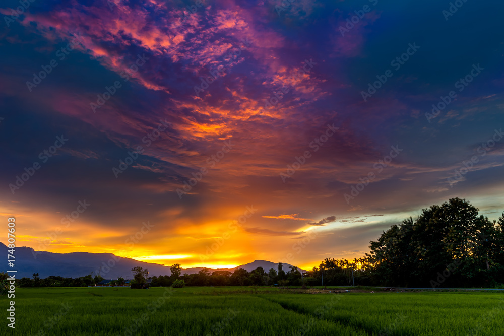 Nature landscape rice terraces against the backdrop of scenic mountains during sunset. Asia