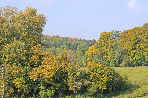 Fototapeta Naklejka Na Ścianę i Meble -  Herbstlandschaft auf der schwäbischen Alb
