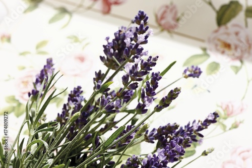 Lavender