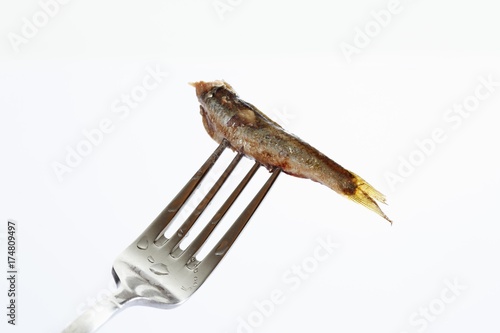 Russian sprat from the tin on a fork