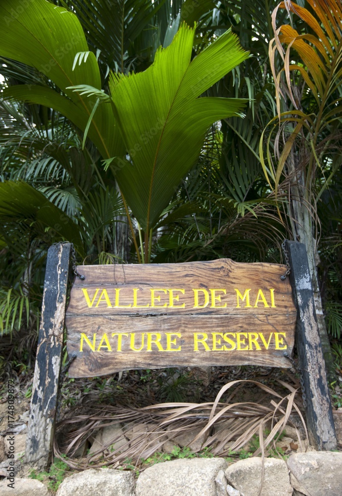 Vallee de Mai, unique nature reserve on Praslin Island with the CoCo de ...