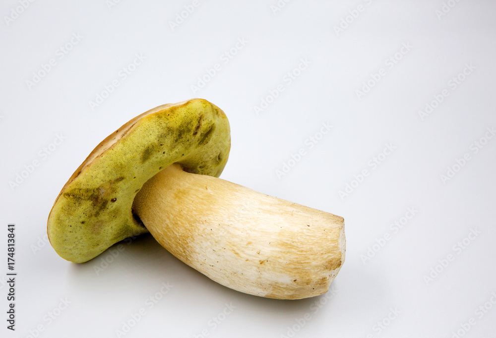 Beautiful boletus (Boletus edulis) isolated on white background Beautiful boletus (Boletus edulis) isolated on white background