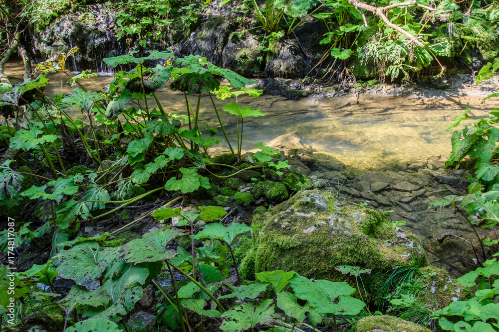 Waterfalls immersed in nature. Waterfalls immersed in nature.