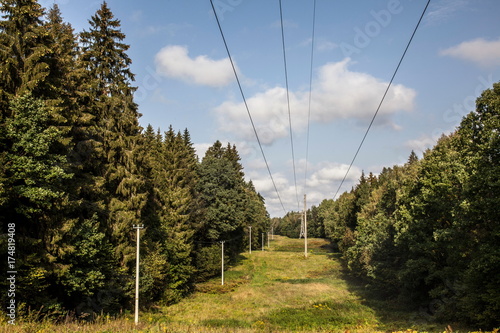 Electric line between the forest