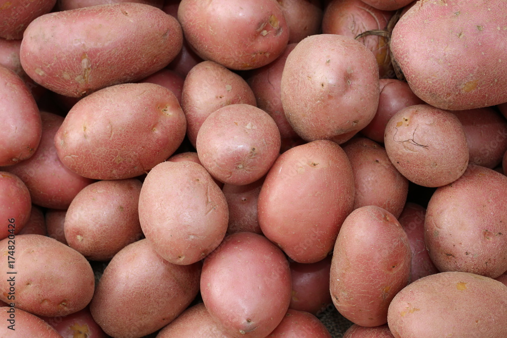 background of many red potatoes background of many red potatoes
