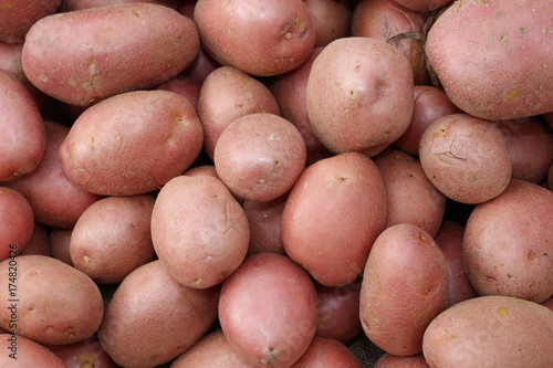 background of many red potatoes