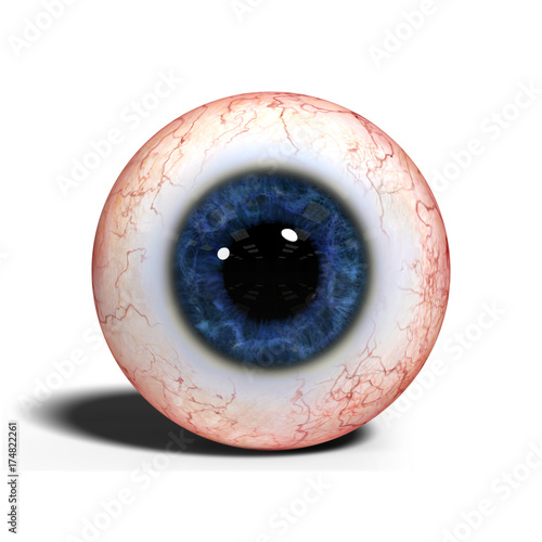 realistic human eye with blue iris isolated on white background