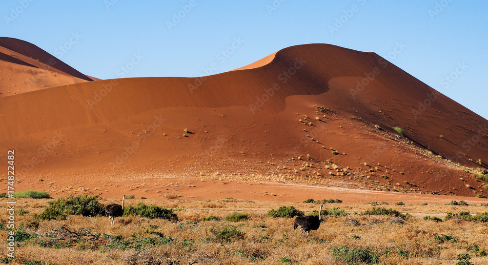 Namibia - Dead Vlei Namibia - Dead Vlei