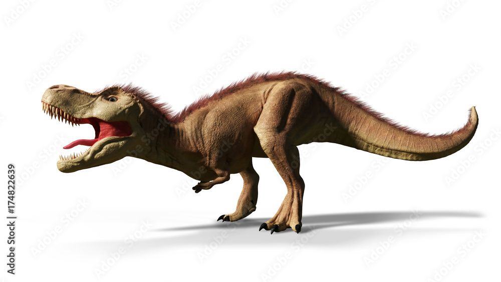 Tyrannosaurus rex, T-rex dinosaur from the Jurassic period Tyrannosaurus rex, T-rex dinosaur from the Jurassic period