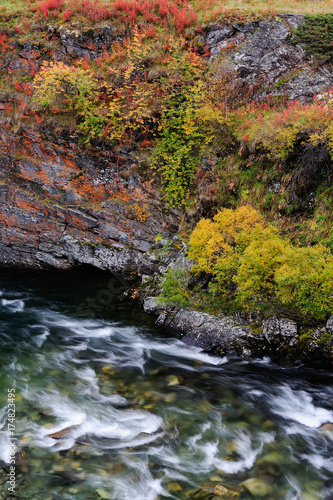 Schlucht der Driva im Herbst  Detail  Dovrefjell  Norwegen