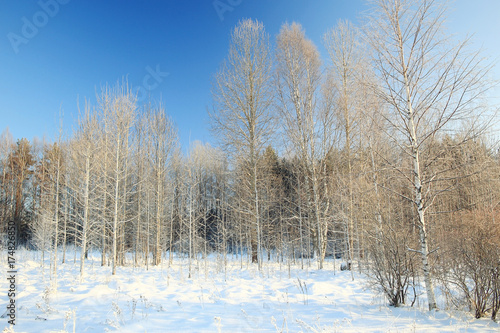 Fresh snow winter background in nature © kichigin19