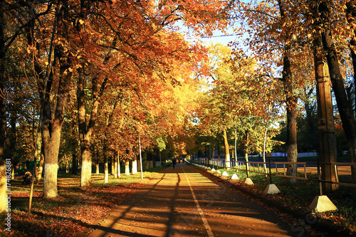 Sunny weather in autumn park