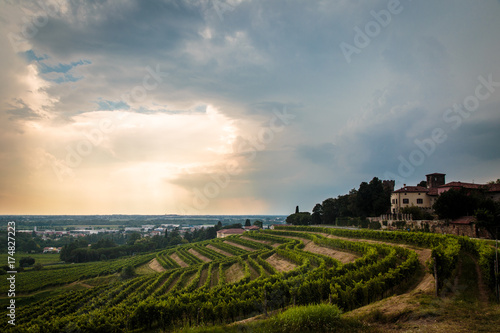 Storm over the vineyard