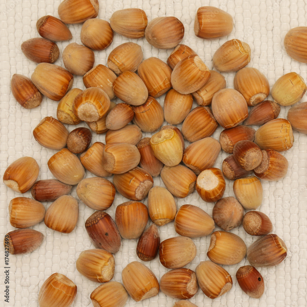 Hazelnuts Hazelnuts