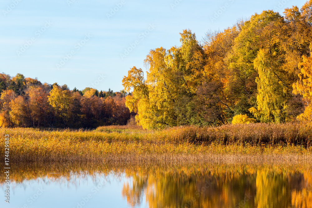 Idyllic lake landscape with autumn colors in the forest
