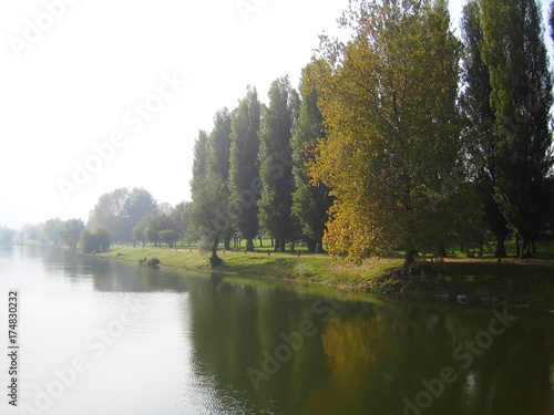 Carta da parati Arbres au bord d'un lac en automne, avec de la brume
