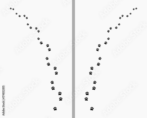 Footprints of  dog,  turn right or left