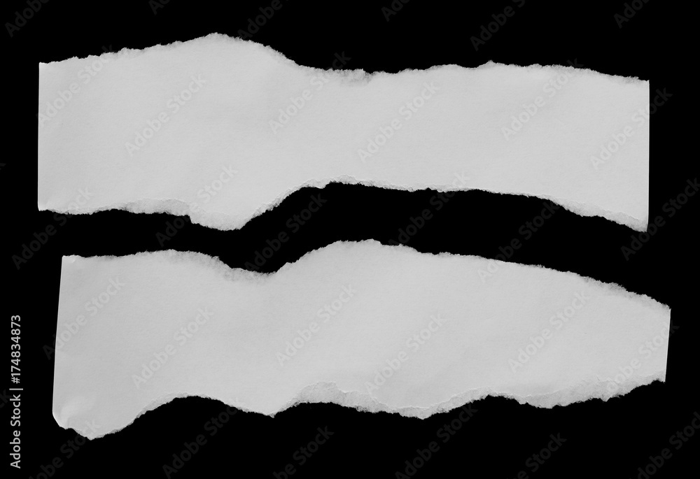 torn paper isolated torn paper isolated