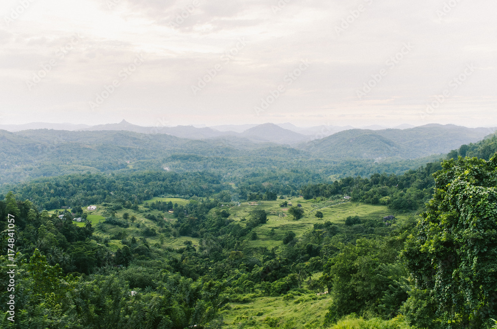 Obraz premium Beautiful landscape in Sri Lanka