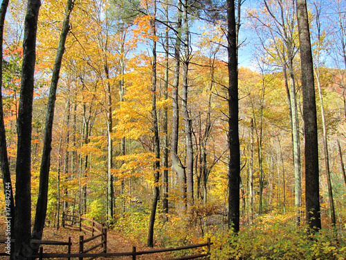 Fall Colors in Blue Ridge Mountains Virginia