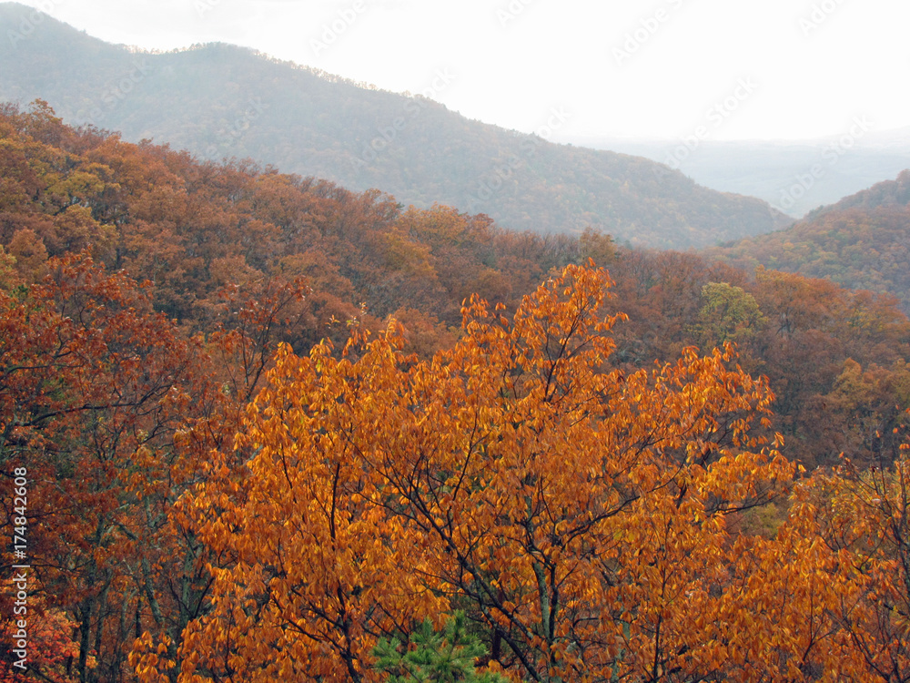 Fall Colors in Blue Ridge Mountains Virginia Fall Colors in Blue Ridge Mountains Virginia