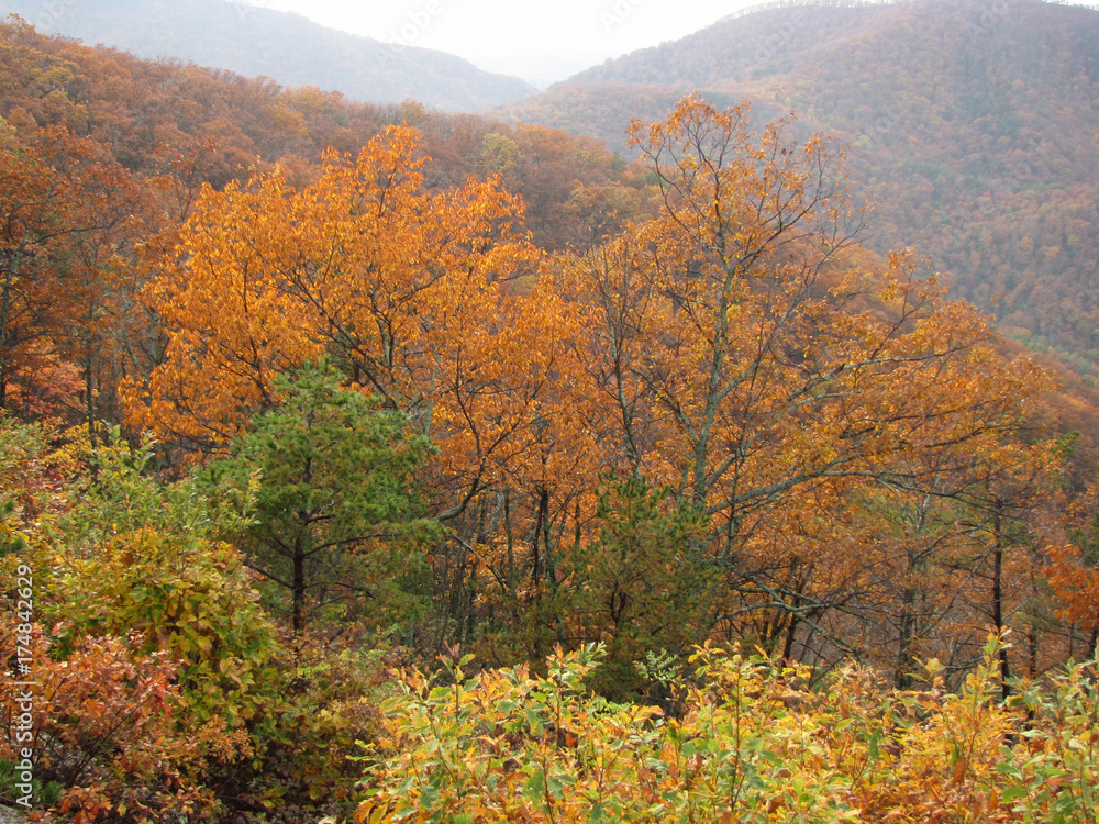 Fall Colors in Blue Ridge Mountains Virginia