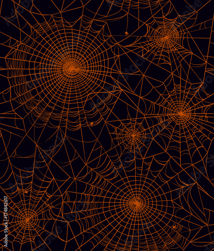 seamless texture with a spider web and spiders, vector illustration