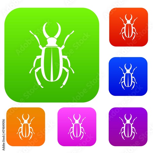 Lucanus cervus set collection