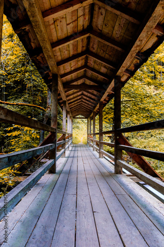 Buchberger Leite-4    Brücke am Wanderweg in der Buchberger Leite bei Freyung im Bayerischen Wald. photo