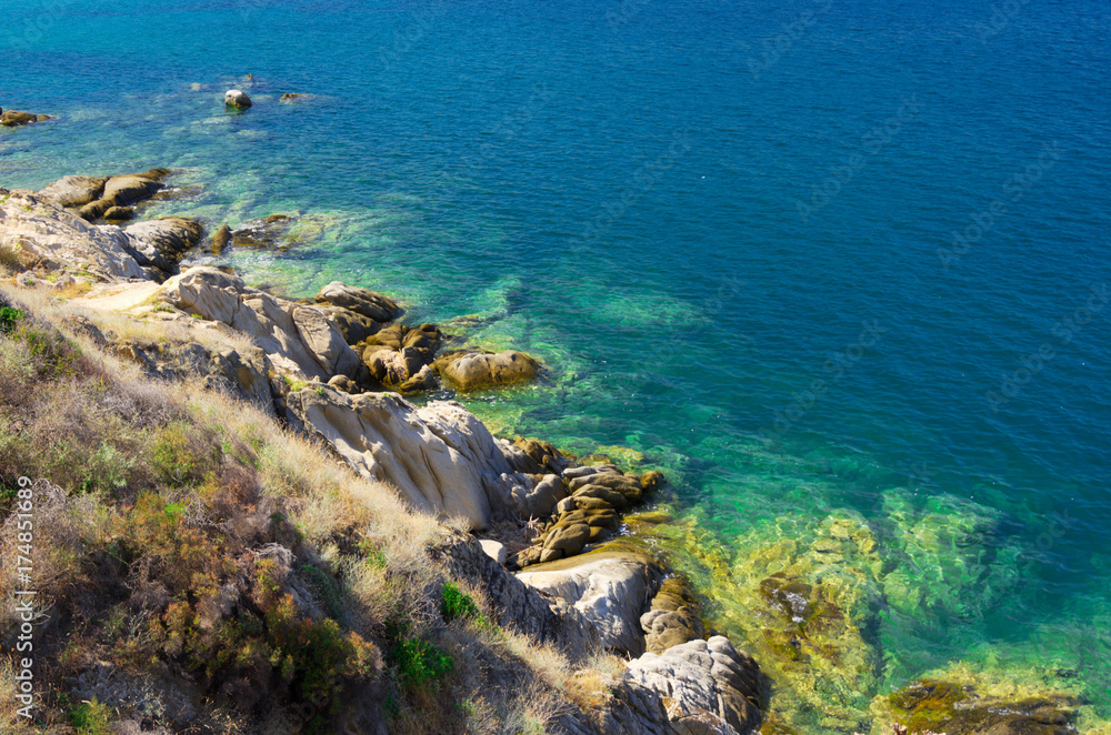 Sea shore under clear sky Sea shore under clear sky
