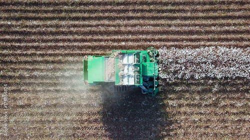 Aerial view of a Large green Cotton picker working in a field. photo