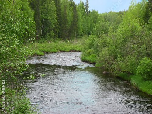 Nature in Finland. Stream in the forest. photo