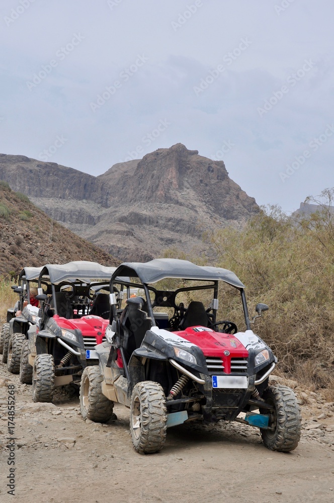 Buggy Tour Buggy Tour