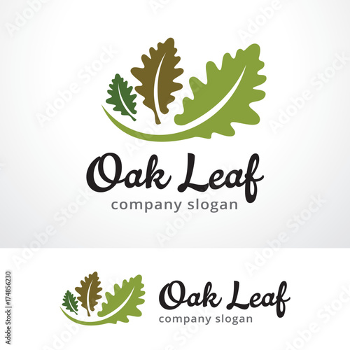 Oak Leaf Logo Template Design Vector, Emblem, Design Concept, Creative Symbol, Icon
