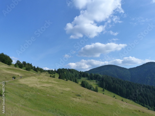 Ukrainian Carpathian Mountains. Marmaros Range.