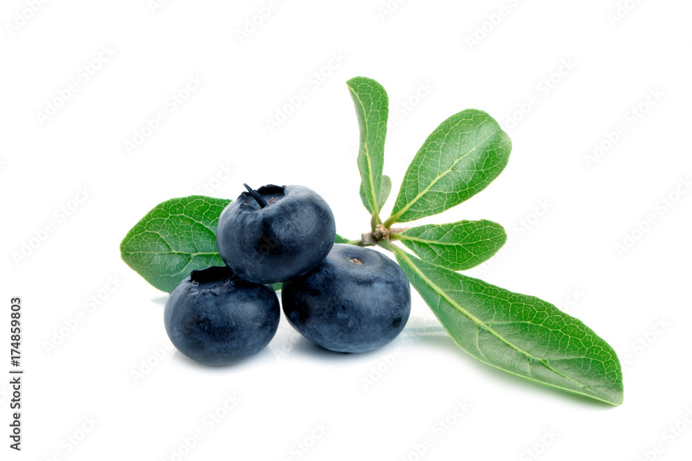 Blueberry. Two fresh blueberries with leaves isolated on white background. With clipping path. Blueberry. Two fresh blueberries with leaves isolated on white background. With clipping path.