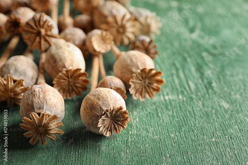 Poppy heads on green wooden table, closeup