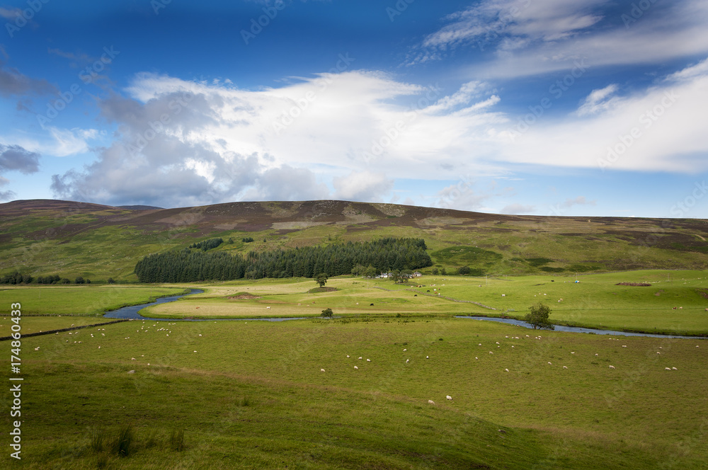 Beautiful farm with animals and a river in the Highlands of Scotland, United Kingdom