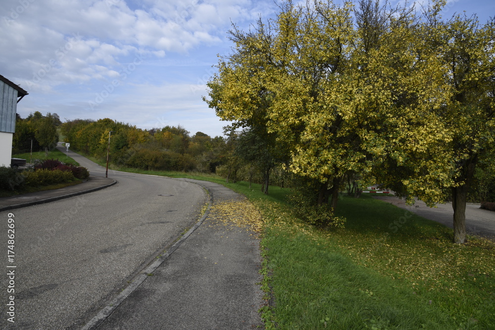 herbst, baum, strauch, gras, wiese, green, road, strasse, asphalt, haus, batt, laub, abfallen, bunt, farbe, gelb, himmel, blau, cloud, landschaft, gegend, fahrbahn, land, europa, anreisen, way, strass herbst, baum, strauch, gras, wiese, green, road, strasse, asphalt, haus, batt, laub, abfallen, bunt, farbe, gelb, himmel, blau, cloud, landschaft, gegend, fahrbahn, land, europa, anreisen, way, strass