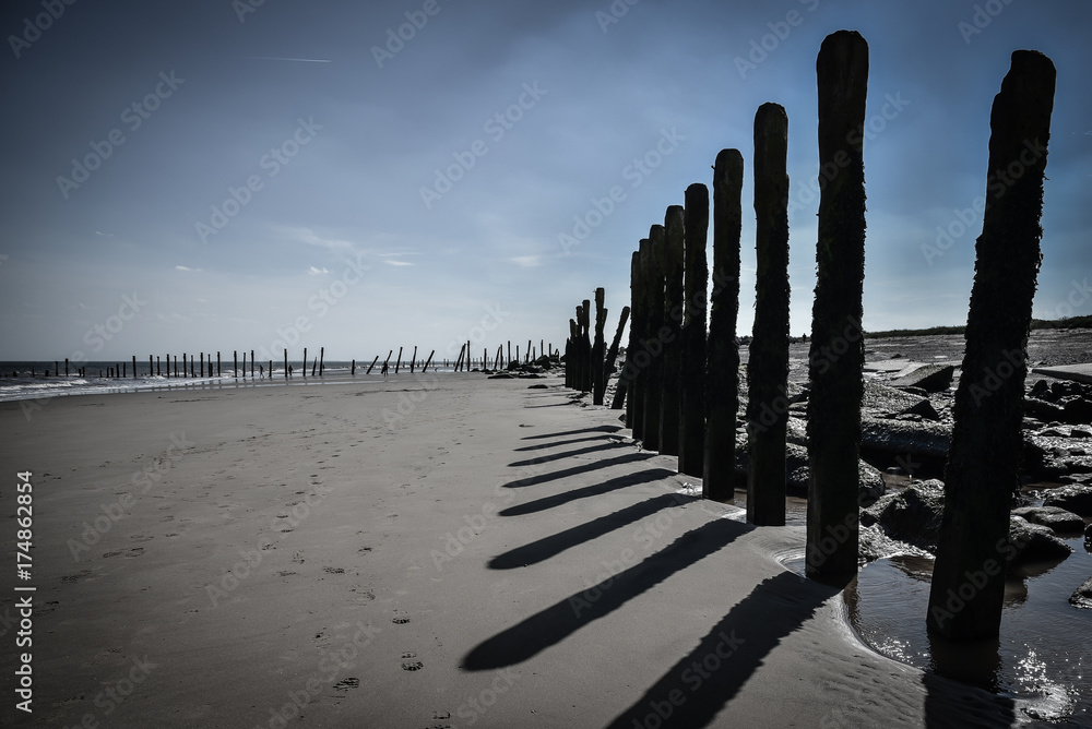 Black and white seascape with wooden pillars