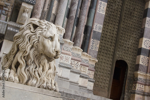 Il leone di San Lorenzo a Genova