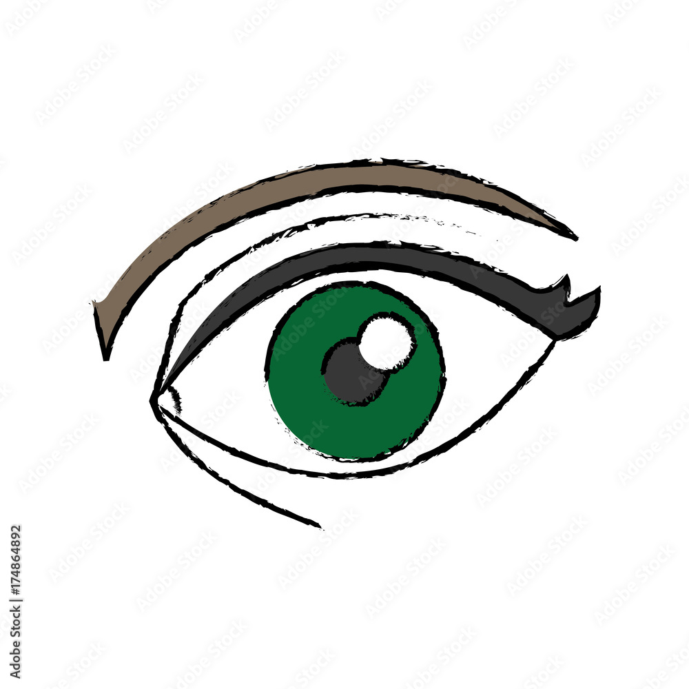 human eye icon human eye icon